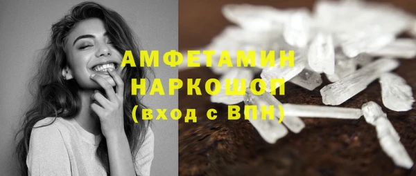 прущие грибы Богородицк