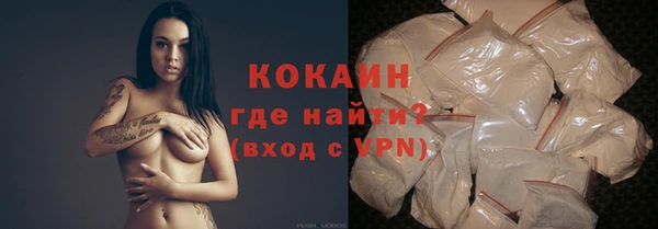 прущие грибы Богородицк