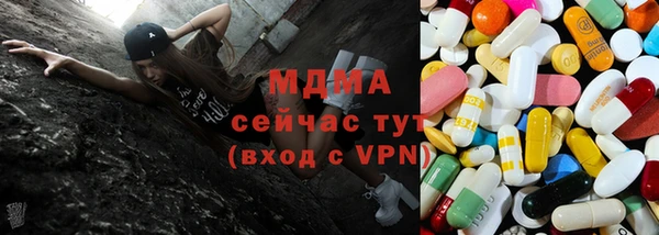 прущие грибы Богородицк
